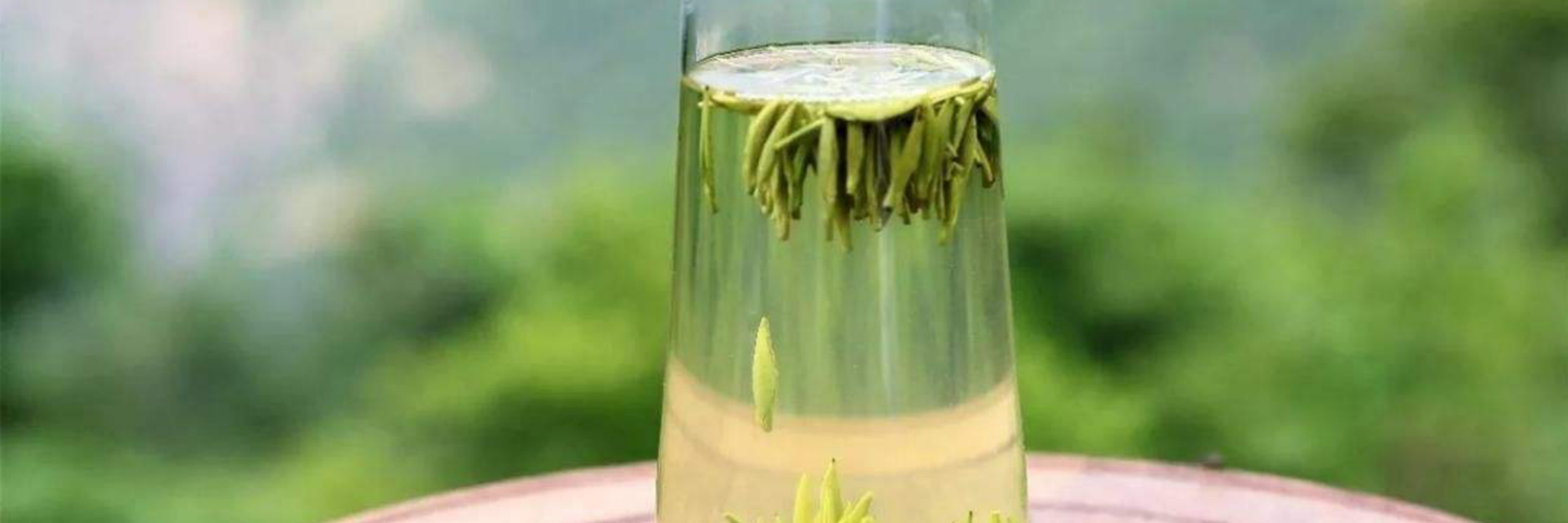 巴山雀舌品牌战略报告