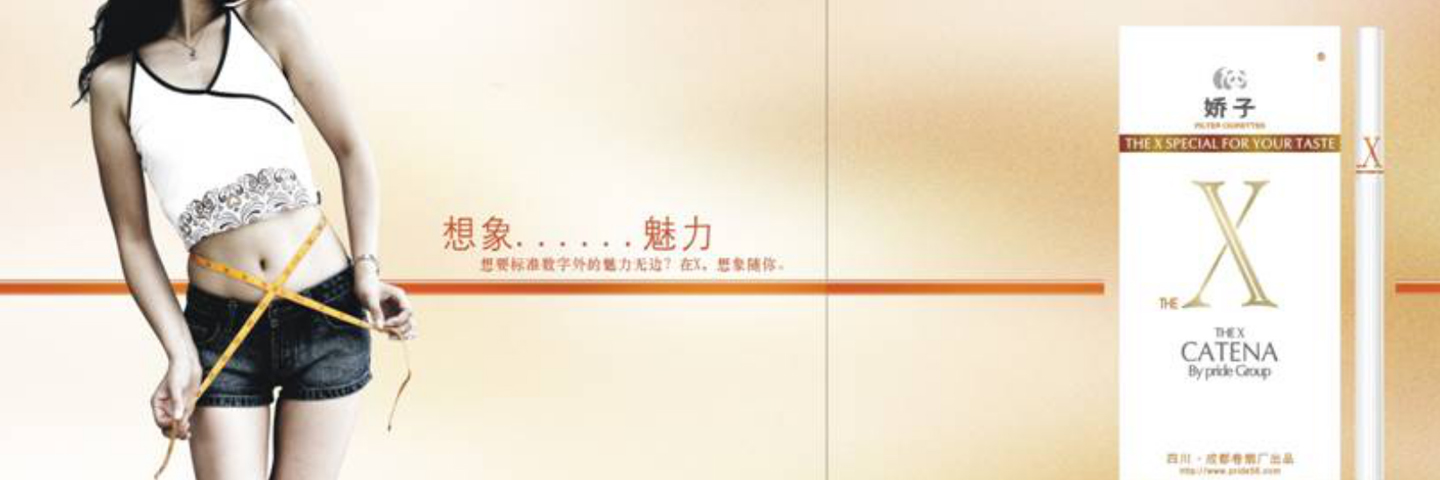 X骄子品牌上市品牌战略报告—梦想进行时/Target Female S...